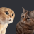 Capybara