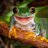 Gerard Frog