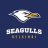 Seagull