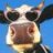 vaca